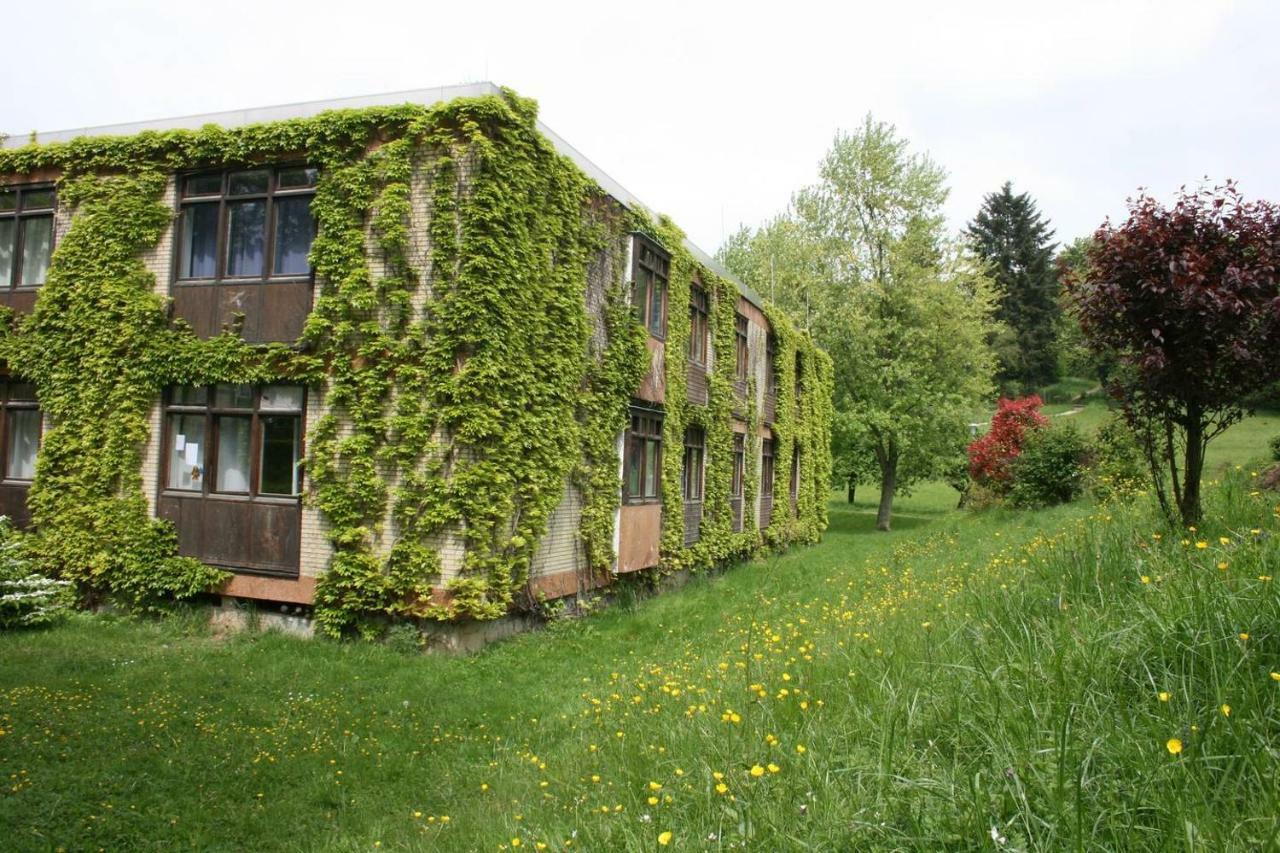 Parkblick Appartement - Entspannung Pur! Ober-Hambach Exterior photo